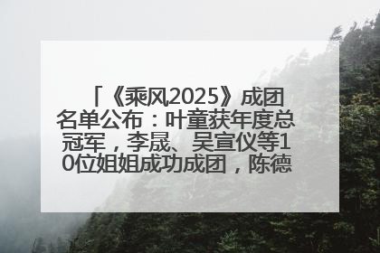 《乘风2025》成团名单公布：叶童获年度总冠军，李晟、吴宣仪等10位姐姐成功成团，陈德容获年度高光人物