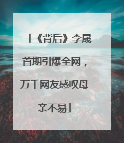 《背后》李晟首期引爆全网，万千网友感叹母亲不易