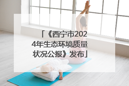 《西宁市2024年生态环境质量状况公报》发布