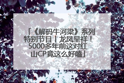 《解码牛河梁》系列特别节目丨龙凤呈祥！5000多年前这对红山CP竟这么好嗑