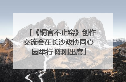 《铜官不止窑》创作交流会在长沙政协同心园举行 陈刚出席