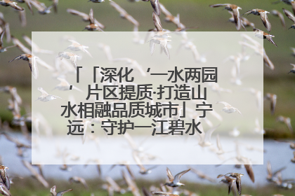 「深化‘一水两园’片区提质·打造山水相融品质城市」宁远：守护一江碧水 共享幸福河湖