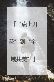 “点上开花”到“全域共美”