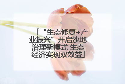 “生态修复+产业振兴”开启沙地治理新模式 生态经济实现双效益