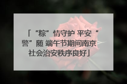 “粽”情守护 平安“警”随 端午节期间南京社会治安秩序良好