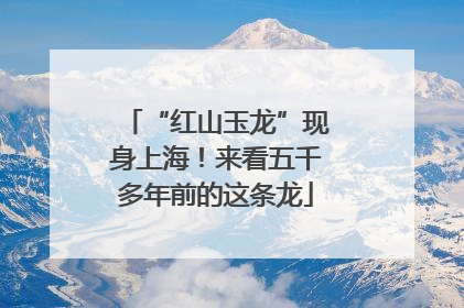 “红山玉龙”现身上海！来看五千多年前的这条龙