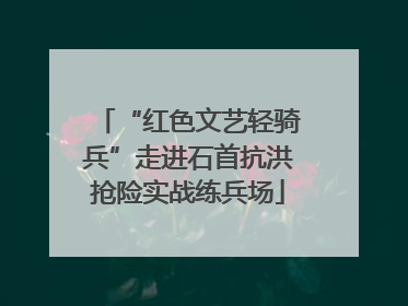 “红色文艺轻骑兵”走进石首抗洪抢险实战练兵场