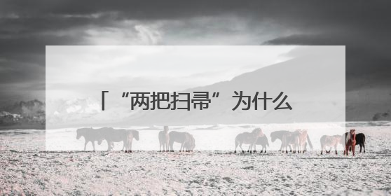 “两把扫帚”为什么立得住、叫得响？——山西长治壶关县人民检察院打造特色党建品牌激活发展动能