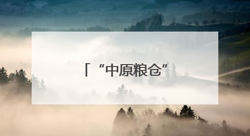 “中原粮仓”河南耕地面积实现四年连增