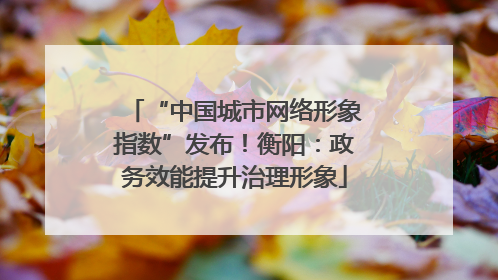 “中国城市网络形象指数”发布！衡阳：政务效能提升治理形象