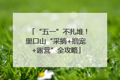 “五一”不扎堆！里口山“采摘+撸宠+露营”全攻略