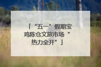 “五一”假期宝鸡陈仓文旅市场“热力全开”