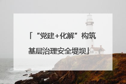 “党建+化解”构筑基层治理安全堤坝