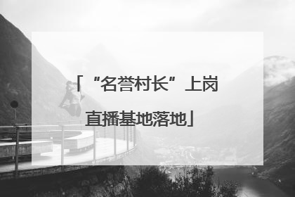 “名誉村长”上岗 直播基地落地