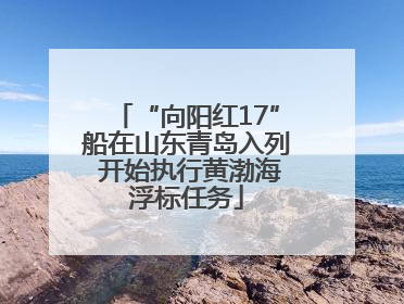 “向阳红17”船在山东青岛入列 开始执行黄渤海浮标任务