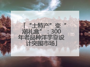 “土特产”变“潮礼盒”：300年老品种洋芋靠设计突围市场