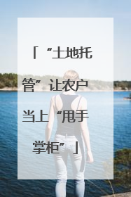 “土地托管”让农户当上“甩手掌柜”