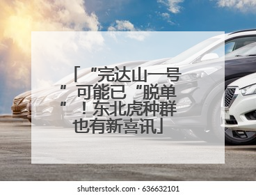 “完达山一号”可能已“脱单”！东北虎种群也有新喜讯