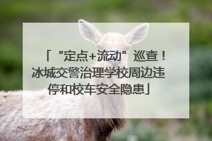“定点+流动”巡查！冰城交警治理学校周边违停和校车安全隐患