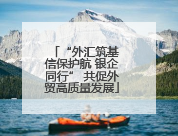 “外汇筑基 信保护航 银企同行” 共促外贸高质量发展