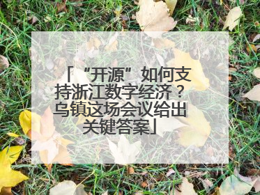 “开源”如何支持浙江数字经济？乌镇这场会议给出关键答案