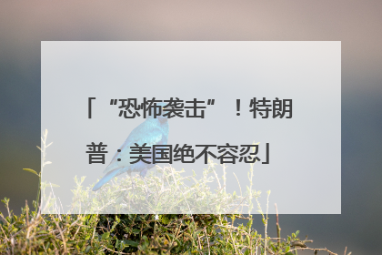 “恐怖袭击”！特朗普：美国绝不容忍