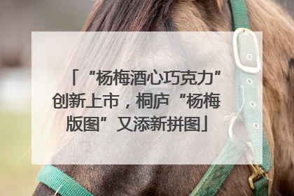 “杨梅酒心巧克力”创新上市，桐庐“杨梅版图”又添新拼图