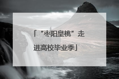 “枣阳皇桃”走进高校毕业季
