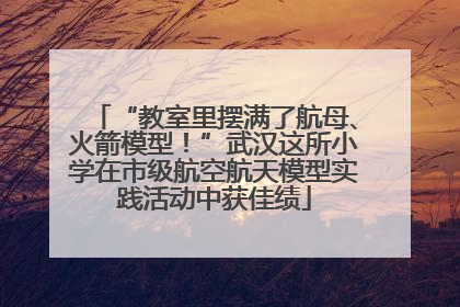 “教室里摆满了航母、火箭模型！”武汉这所小学在市级航空航天模型实践活动中获佳绩