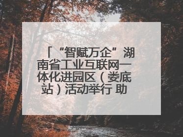 “智赋万企”湖南省工业互联网一体化进园区（娄底站）活动举行 助推农机装备产业高质量发展