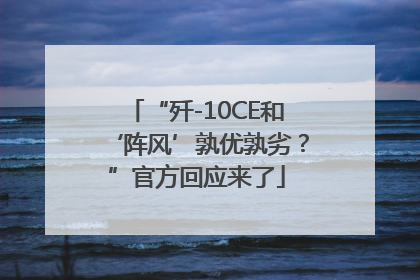 “歼-10CE和‘阵风’孰优孰劣？”官方回应来了