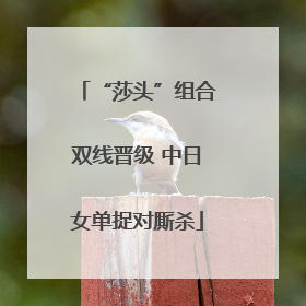 “莎头”组合双线晋级 中日女单捉对厮杀