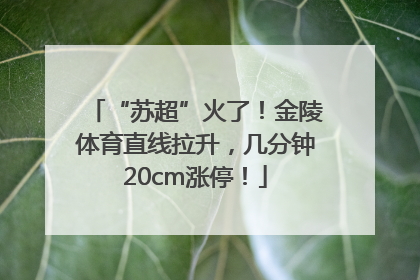 “苏超”火了！金陵体育直线拉升，几分钟20cm涨停！