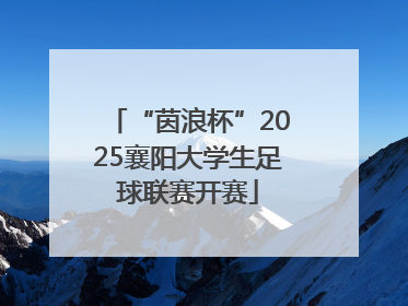 “茵浪杯”2025襄阳大学生足球联赛开赛