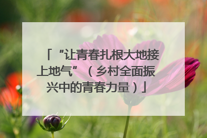 “让青春扎根大地接上地气”（乡村全面振兴中的青春力量）