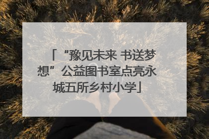 “豫见未来 书送梦想”公益图书室点亮永城五所乡村小学