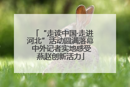 “走读中国·走进河北”活动圆满落幕 中外记者实地感受燕赵创新活力
