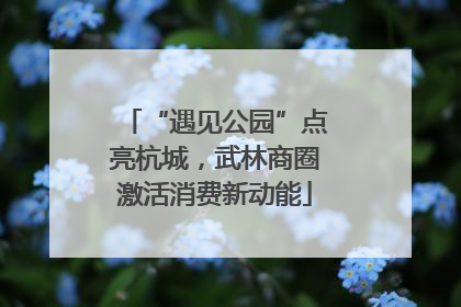 “遇见公园”点亮杭城，武林商圈激活消费新动能