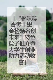 “郴味粽香传千里 金榜题名创未来”特色粽子推介暨大学生创业助力活动收官
