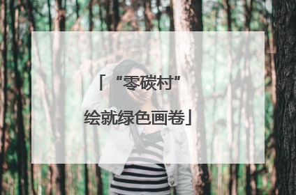 “零碳村” 绘就绿色画卷