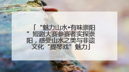 “魅力山水•有味崇阳”短剧大赛参赛者实探崇阳，感受山水之美与非遗文化“提琴戏”魅力