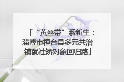 “黄丝带”系新生：淄博市桓台县多元共治铺就社矫对象回归路