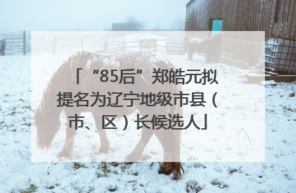 “85后”郑皓元拟提名为辽宁地级市县（市、区）长候选人