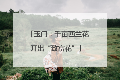 玉门：千亩西兰花开出“致富花”