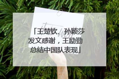 王楚钦、孙颖莎发文感谢，王励勤总结中国队表现