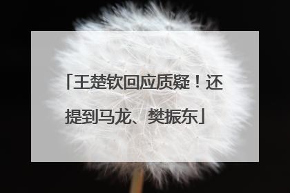 王楚钦回应质疑！还提到马龙、樊振东