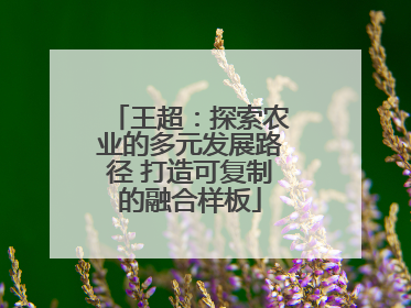 王超：探索农业的多元发展路径 打造可复制的融合样板