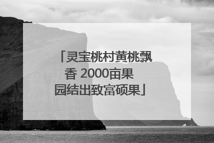 灵宝桃村黄桃飘香 2000亩果园结出致富硕果