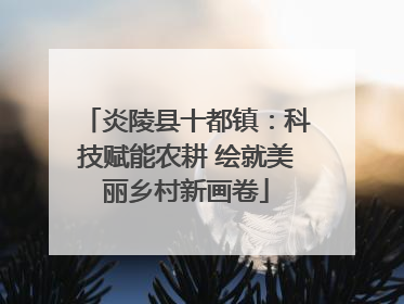 炎陵县十都镇：科技赋能农耕 绘就美丽乡村新画卷