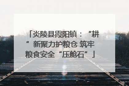 炎陵县霞阳镇：“耕”新聚力护粮仓 筑牢粮食安全“压舱石”